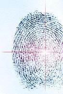 image of a finger print